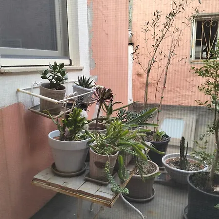 Casa - Atelier In Centro Storico *